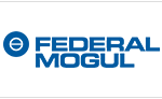 federal-1